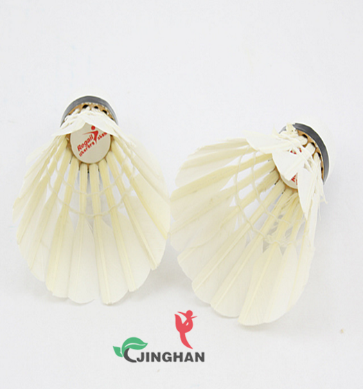 JHYMQ--004 羽毛球